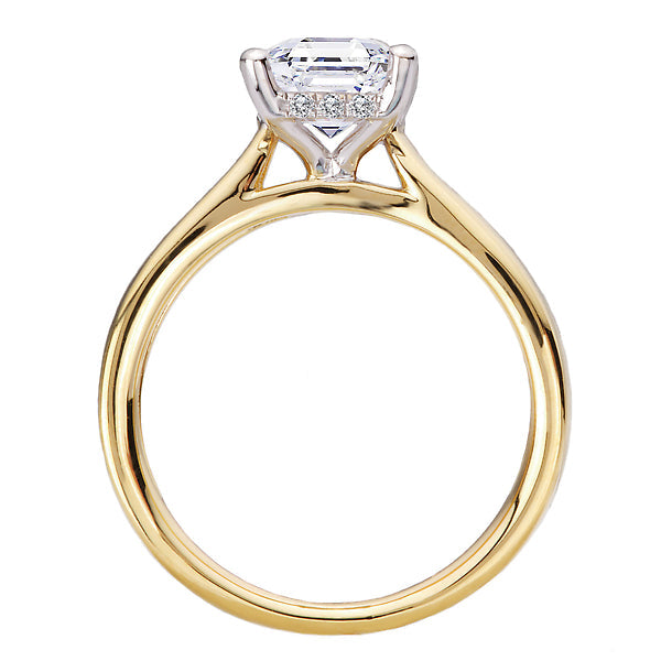 Diamond Semi-Mount Hidden Halo Engagement Ring