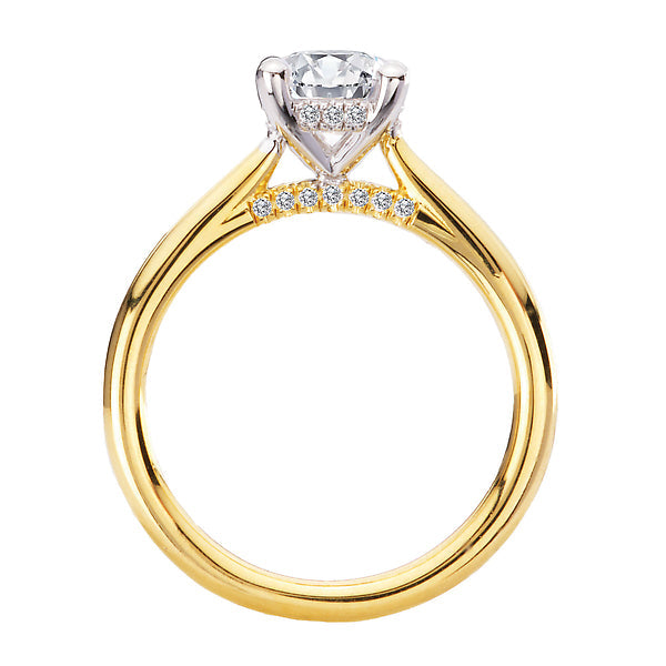 Hidden Halo Semi-Mount Diamond Engagement Ring